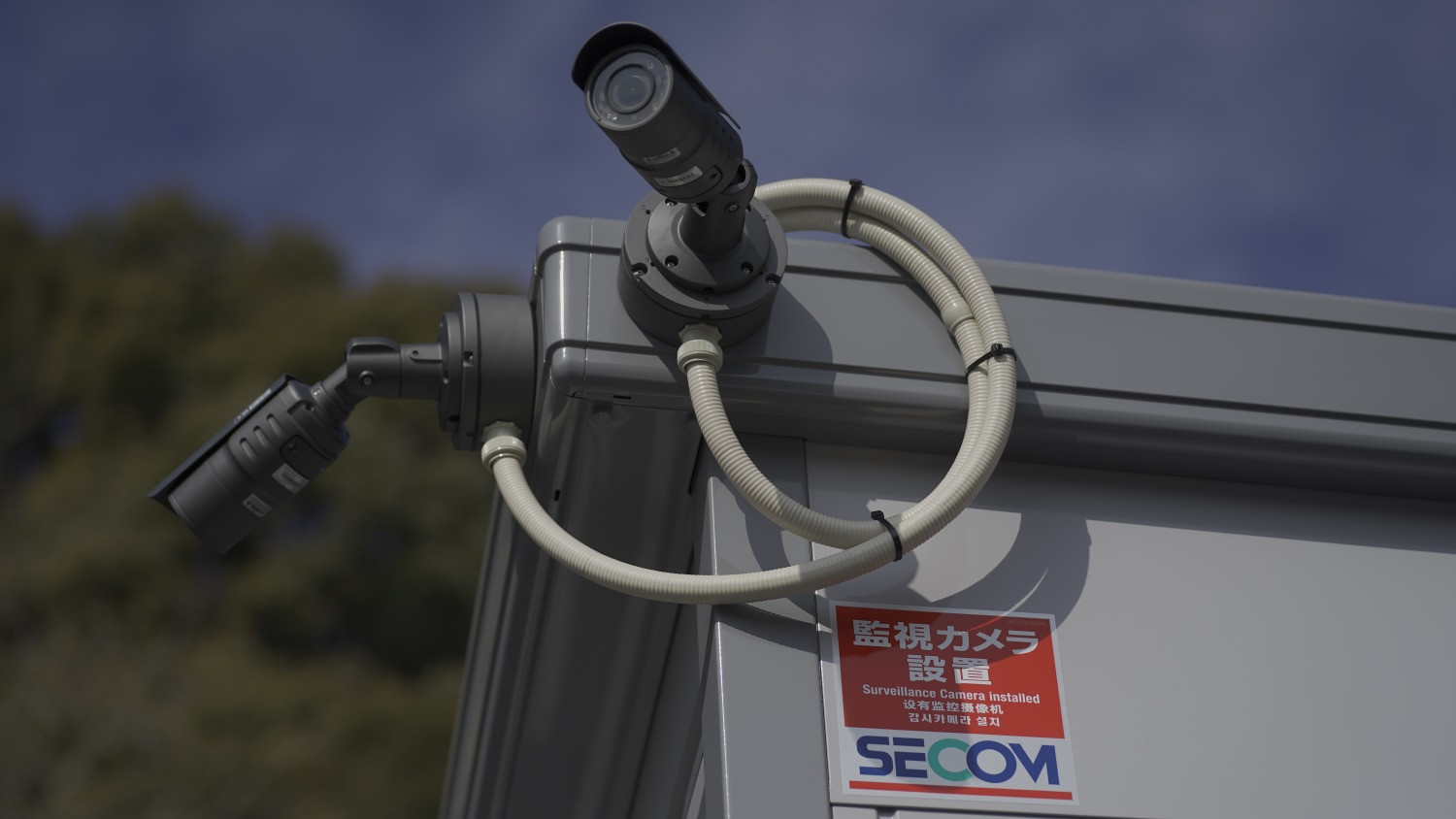 拡大してご覧になれます