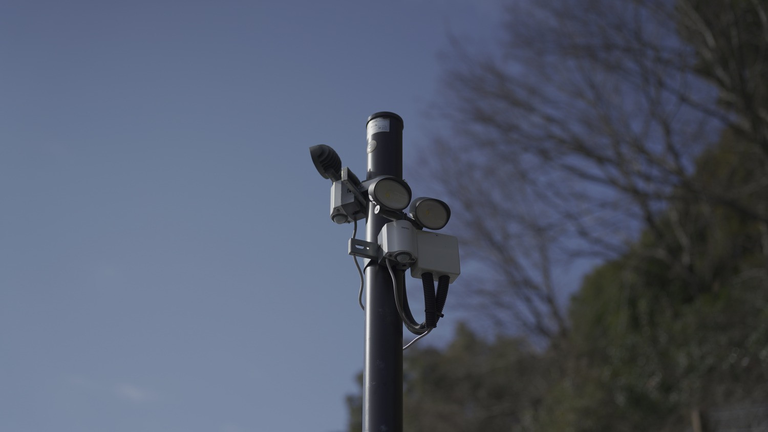 拡大してご覧になれます