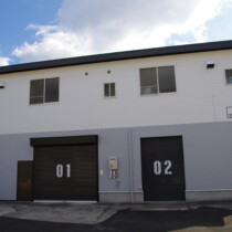 TWIN PADDOCK 01